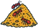 Fire ant mounds