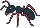 Large black ants indoors