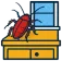 Roaches in the daytime