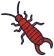 Earwigs indoors