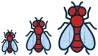 More flies every day