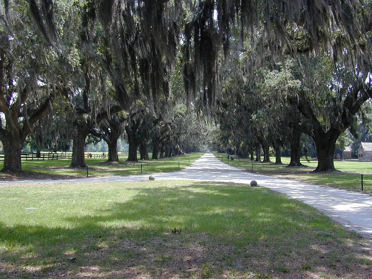Pest control in Mount Pleasant, SC