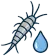 Silverfish in damp rooms