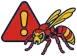 Stings and swarming